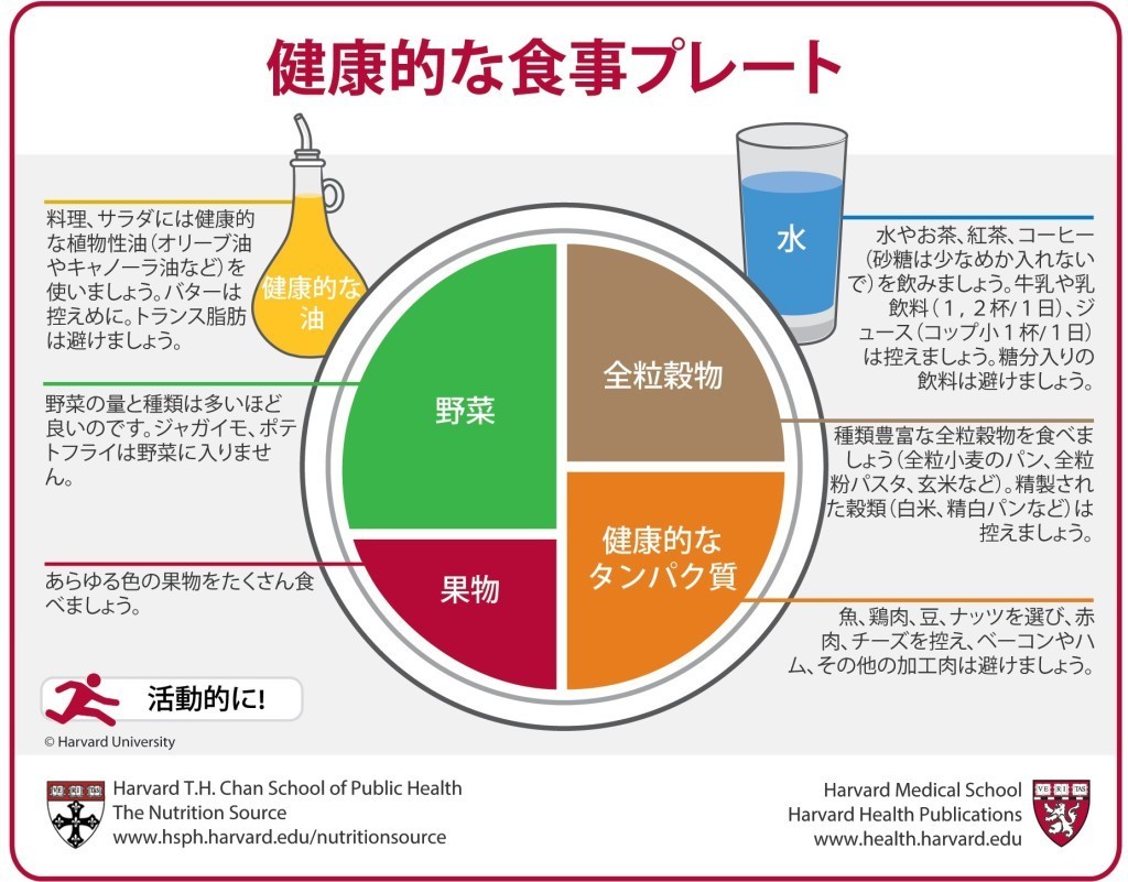 ハーバードが提唱する健康的な食事プレート