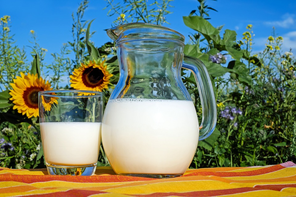 「牛乳は骨に良い」は幻想だと認識しよう